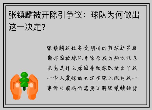 张镇麟被开除引争议：球队为何做出这一决定？
